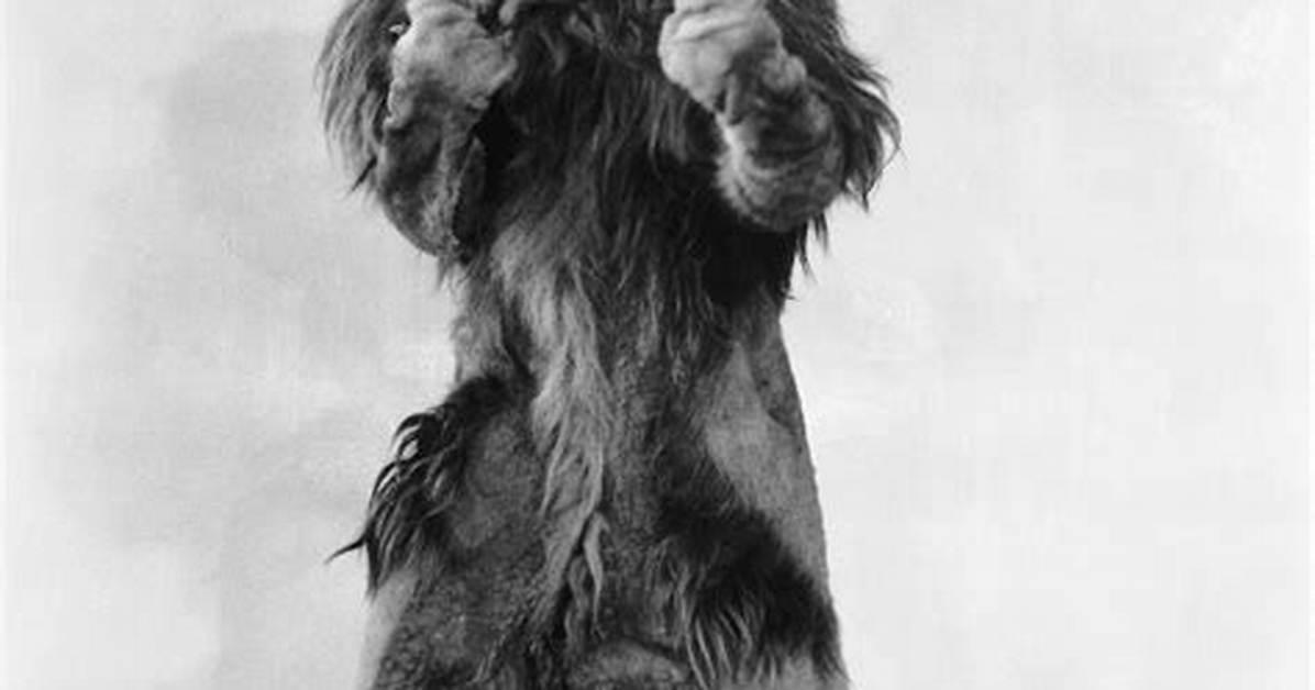 Bert Lahr