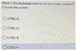Best Answer: Can I Undo a Command in Linux?