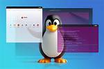 Best Answer: How Do I Customize Linux Mint 20?