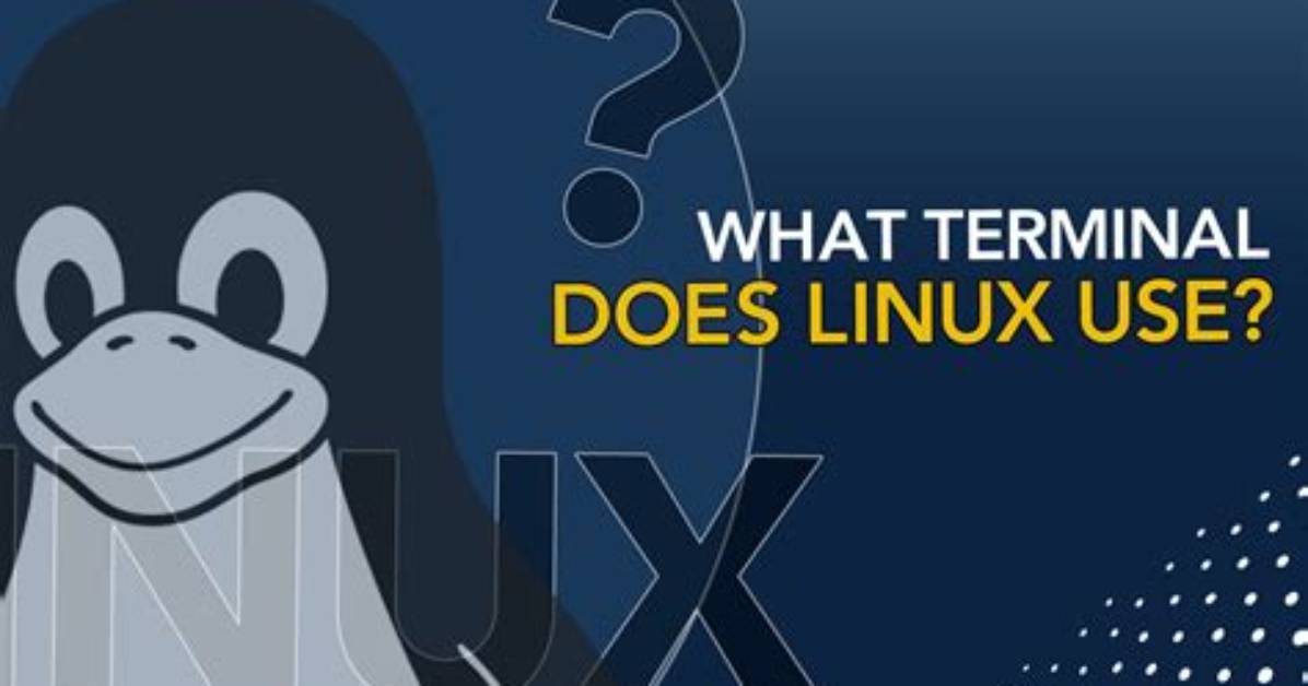 Best Answer: What Code Does Linux Use?