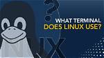 Best Answer: What Does Linux Use Instead of Active Directory?