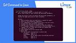 Best Answer: What Does Set Command Do in Linux?