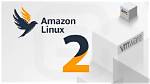 Best Answer: What Is Amazon Linux 2 Based on?