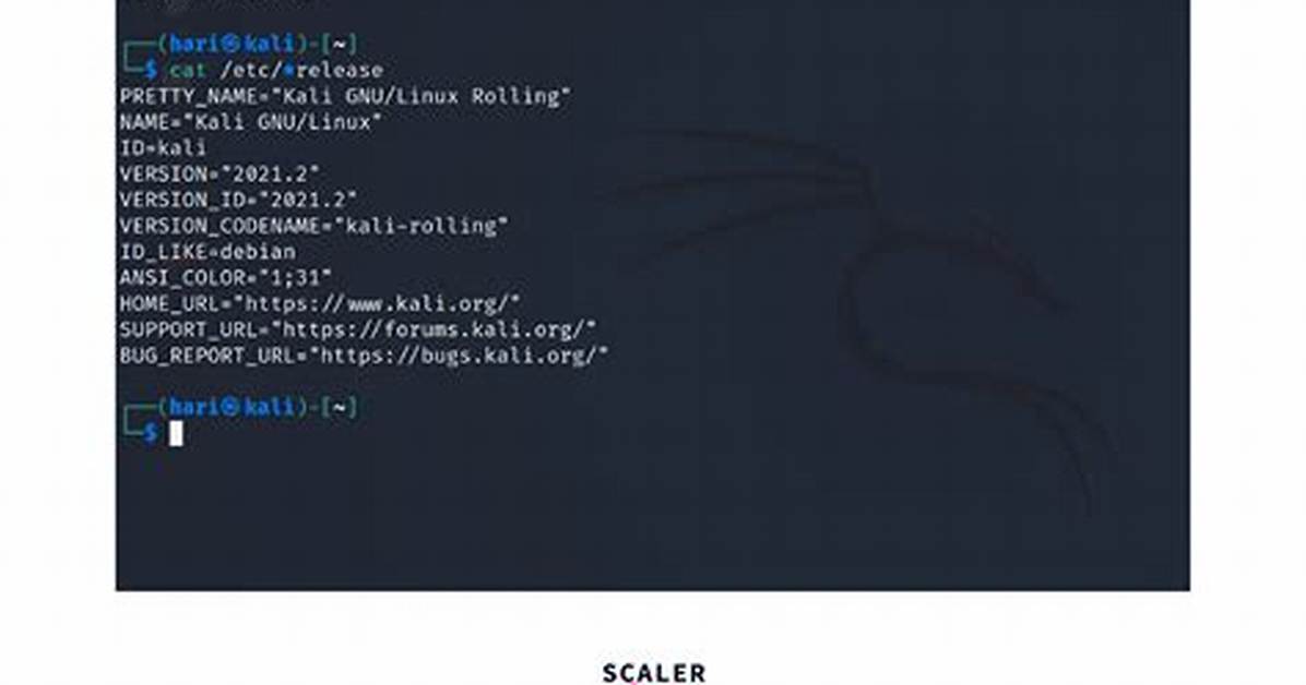 Best Answer: What Is Linux Version Command?