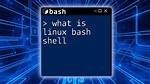 Best Answer: What Is Shell Environment Linux?