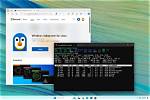 Best Answer: Where Does Windows Subsystem for Linux Store Files?