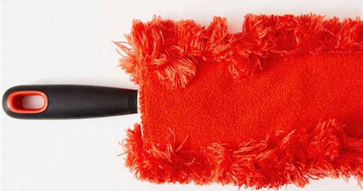 Best Duster