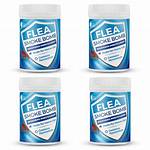 Best Flea Bombs