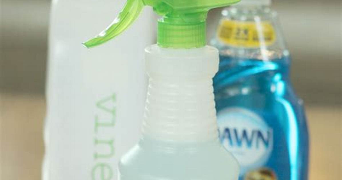 Best Window Cleaning Solution
