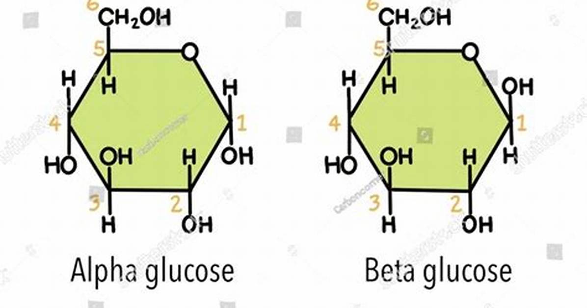 Beta Glucose