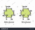 Beta Glucose