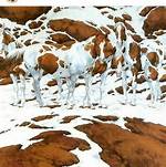 Bev Doolittle