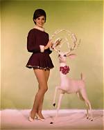 Beverly Adams