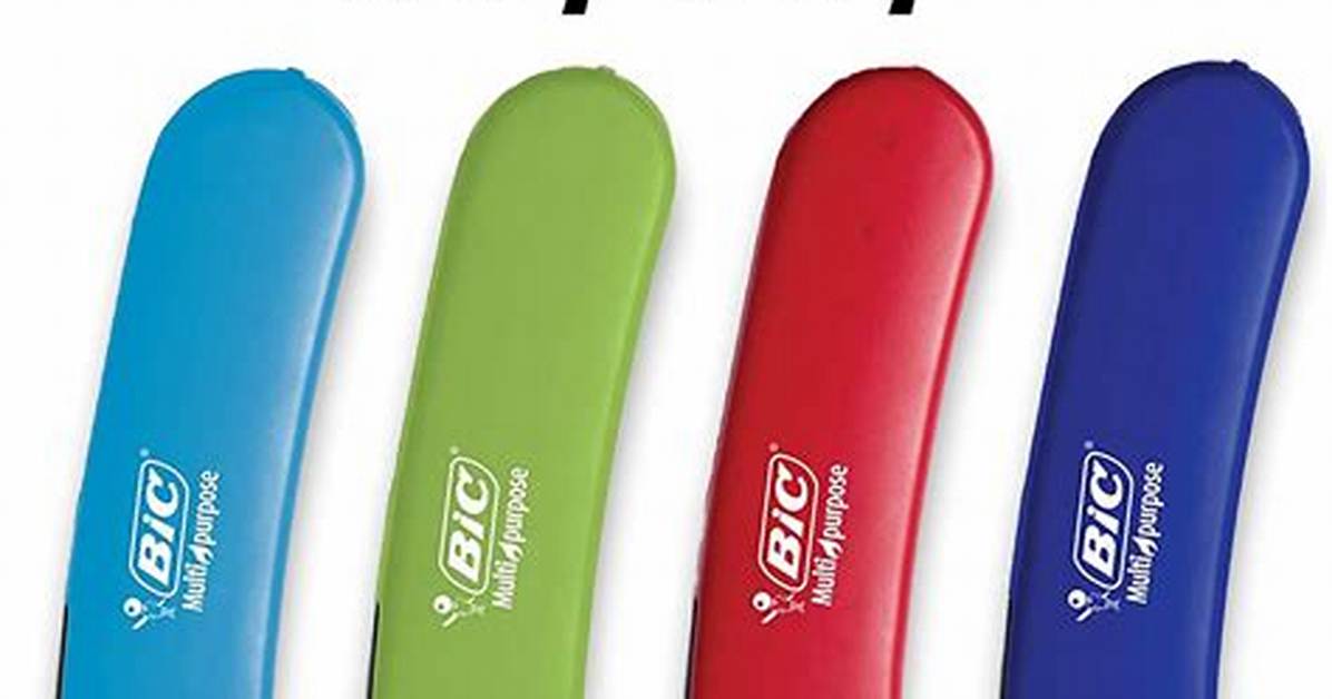 Bic Instruction