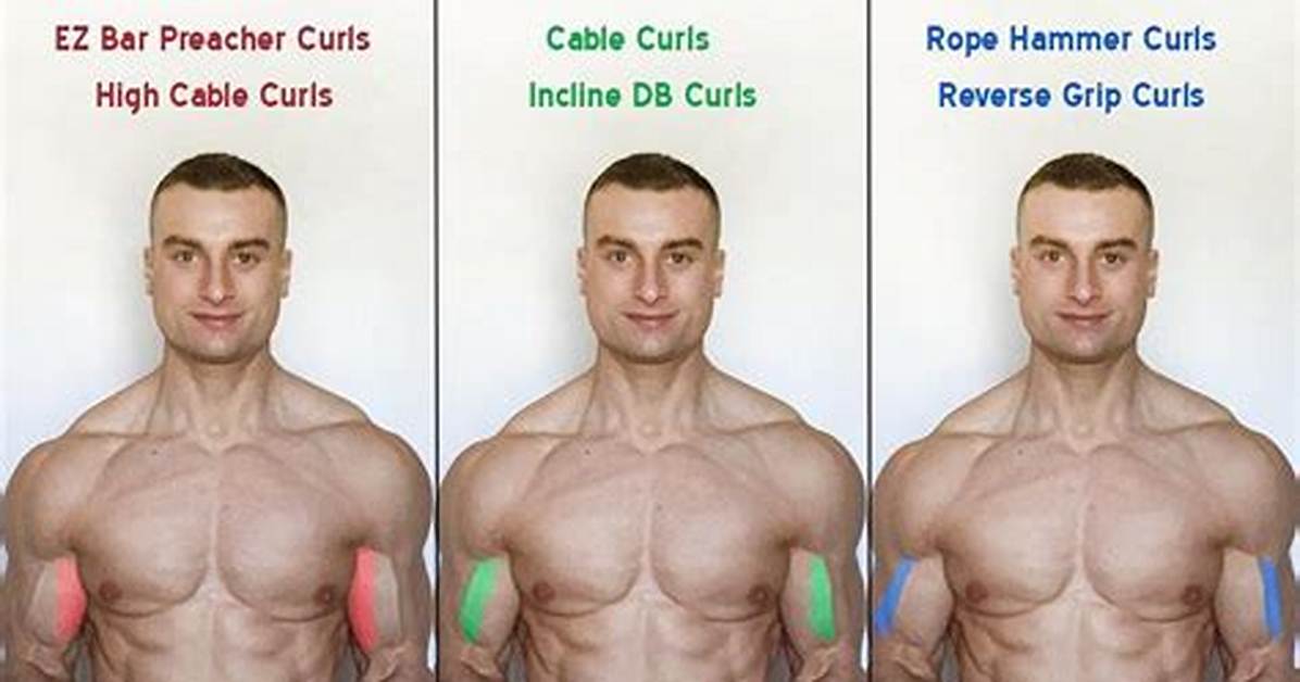 Bicep Heads