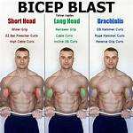 Bicep Heads