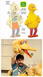Big Bird from Down Under