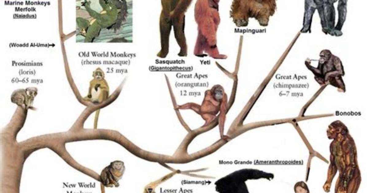 Big Primate