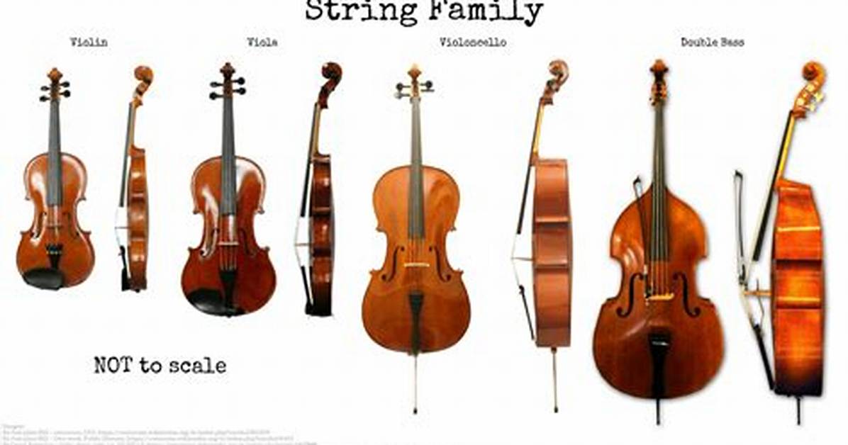 Big String Instruments