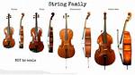 Big String Instruments