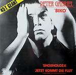 “Biko” by Peter Gabriel