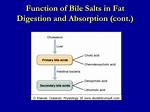 Bile Salts Function
