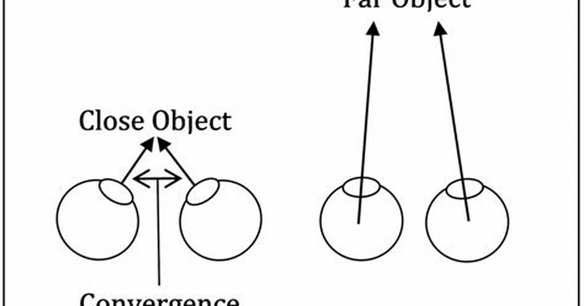 Binocular Cues