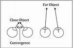 Binocular Cues