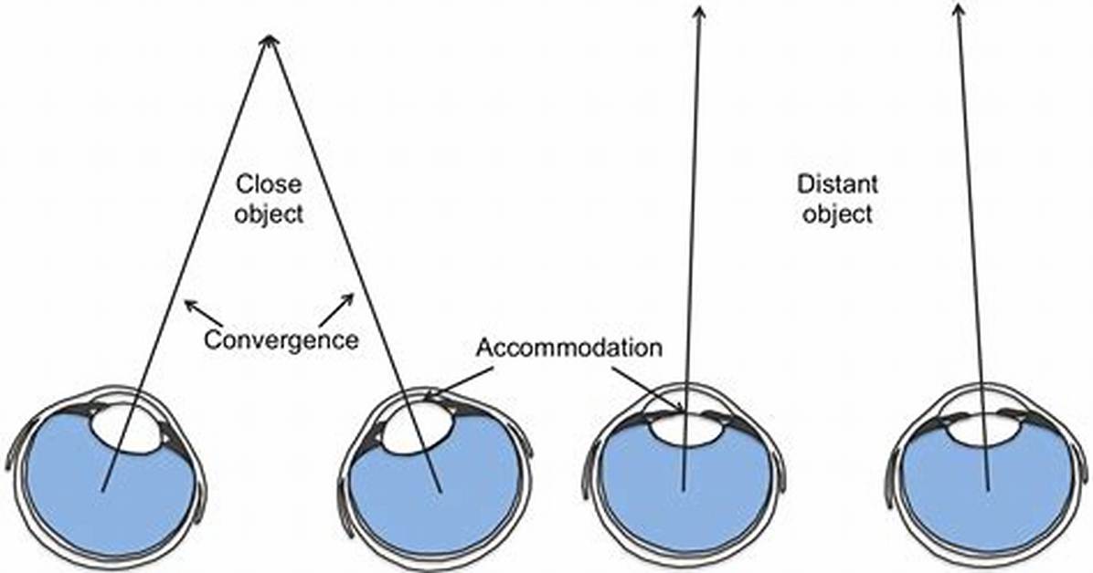 Binocular Depth Cues
