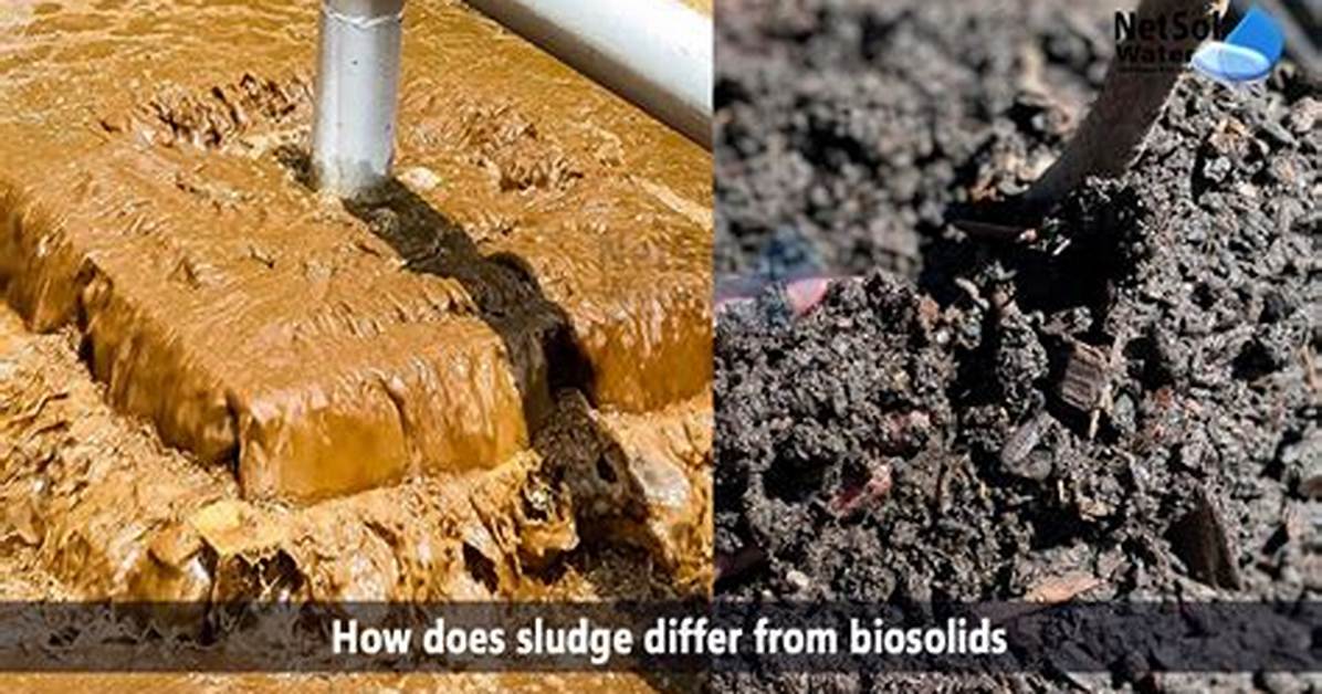 Bio Sludge