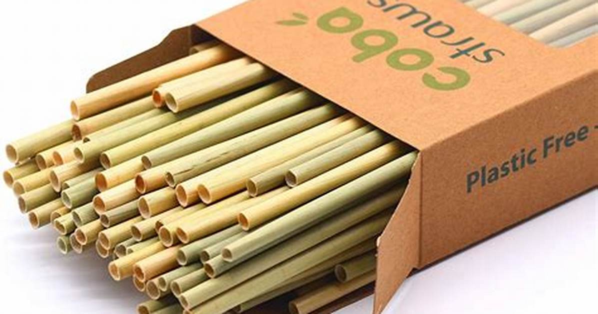 Biodegradable Straws