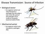 Biological Vector