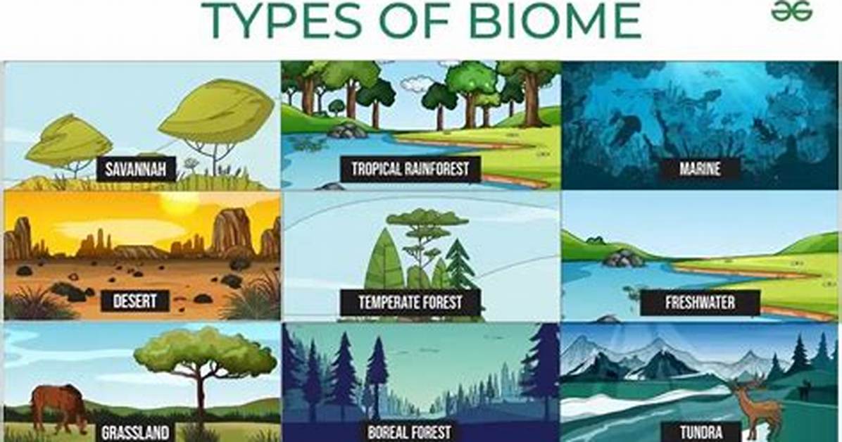 Biome Examples