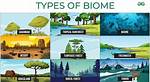Biome Examples
