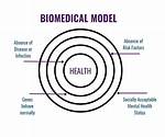 Biomedical Model