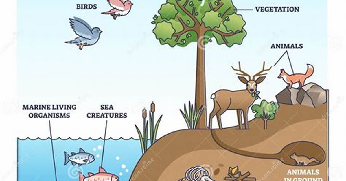 Biosphere Examples