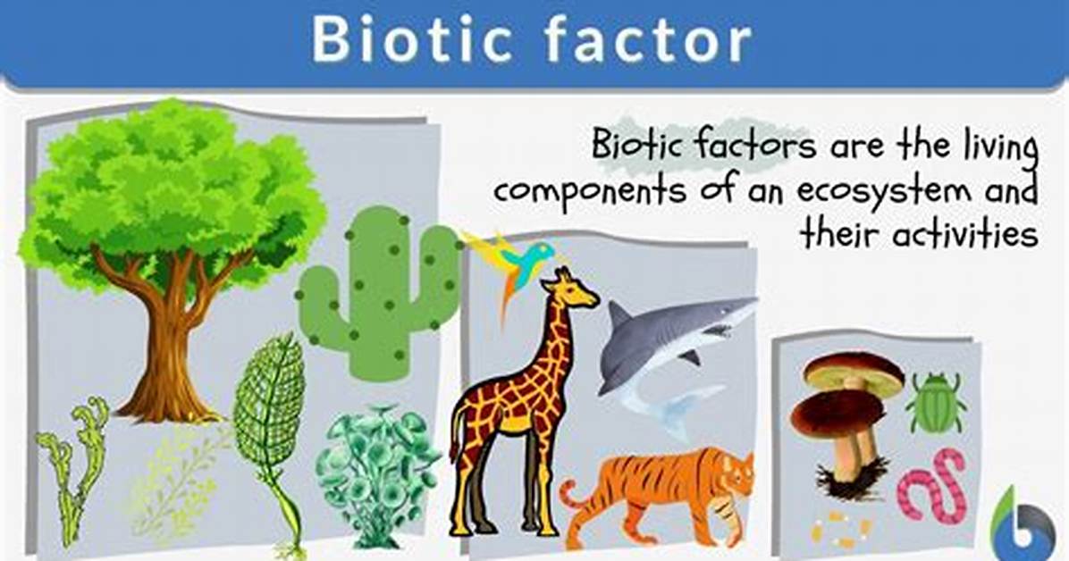 Biotic Components Examples