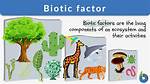 Biotic Components Examples