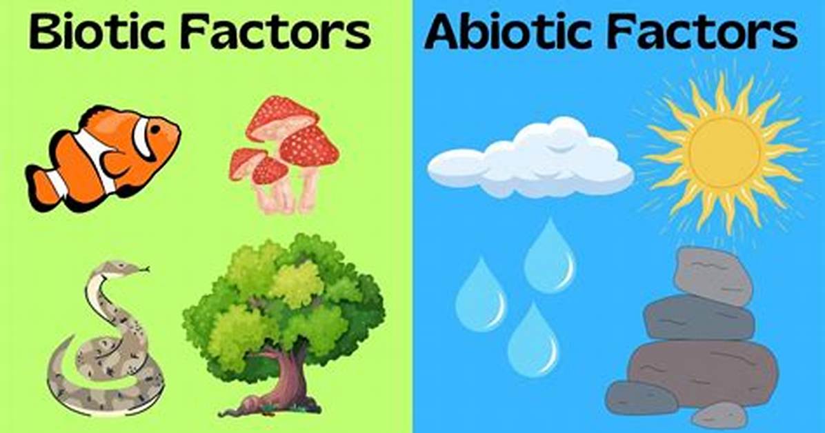Biotic Examples