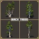 Birch Tree Minecraft