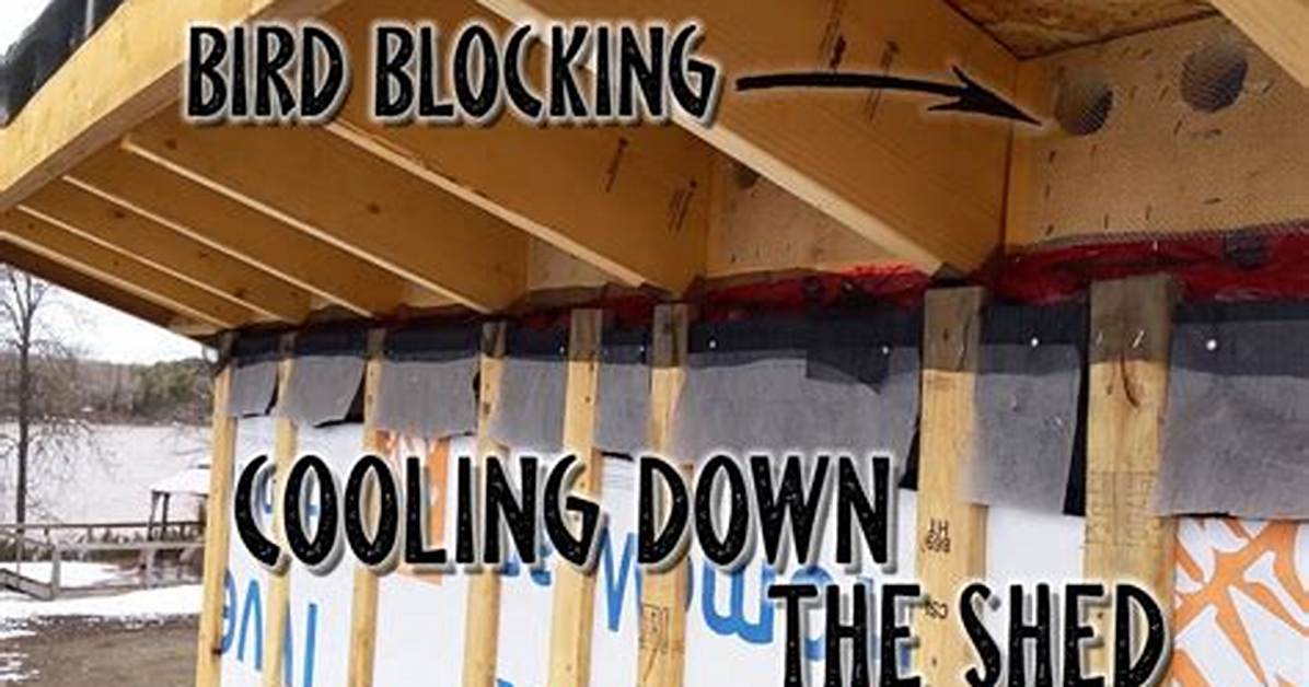 Bird Blocking Rafters
