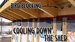 Bird Blocking Rafters