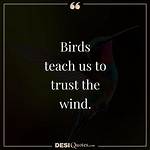 Bird by Bird Literature and Writing Quotes Page 1