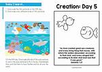 Bird's Creation