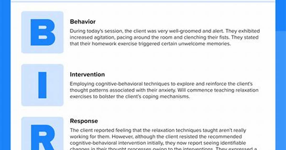 Birp Notes