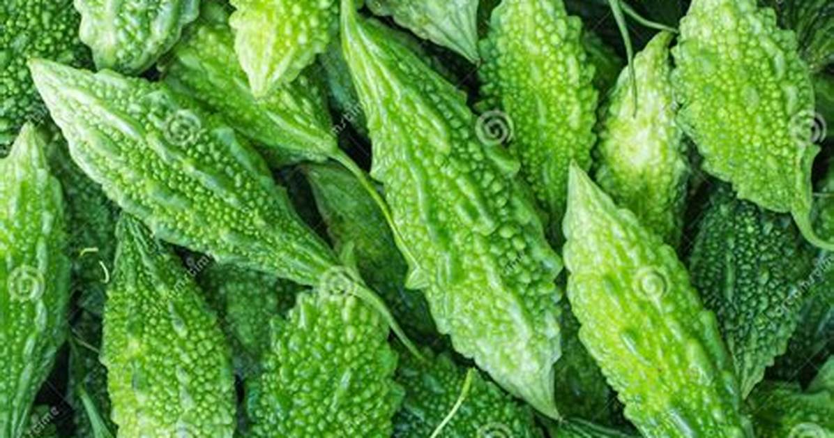 Bitter Cucumber