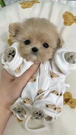___-Bitty (Very Small)