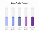 Biuret Test
