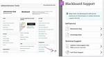 Blackboard Support Procedures