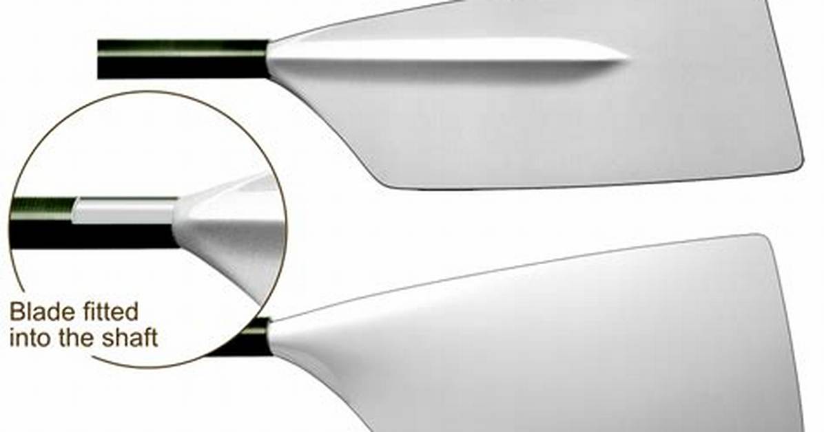 Blade for Rowing